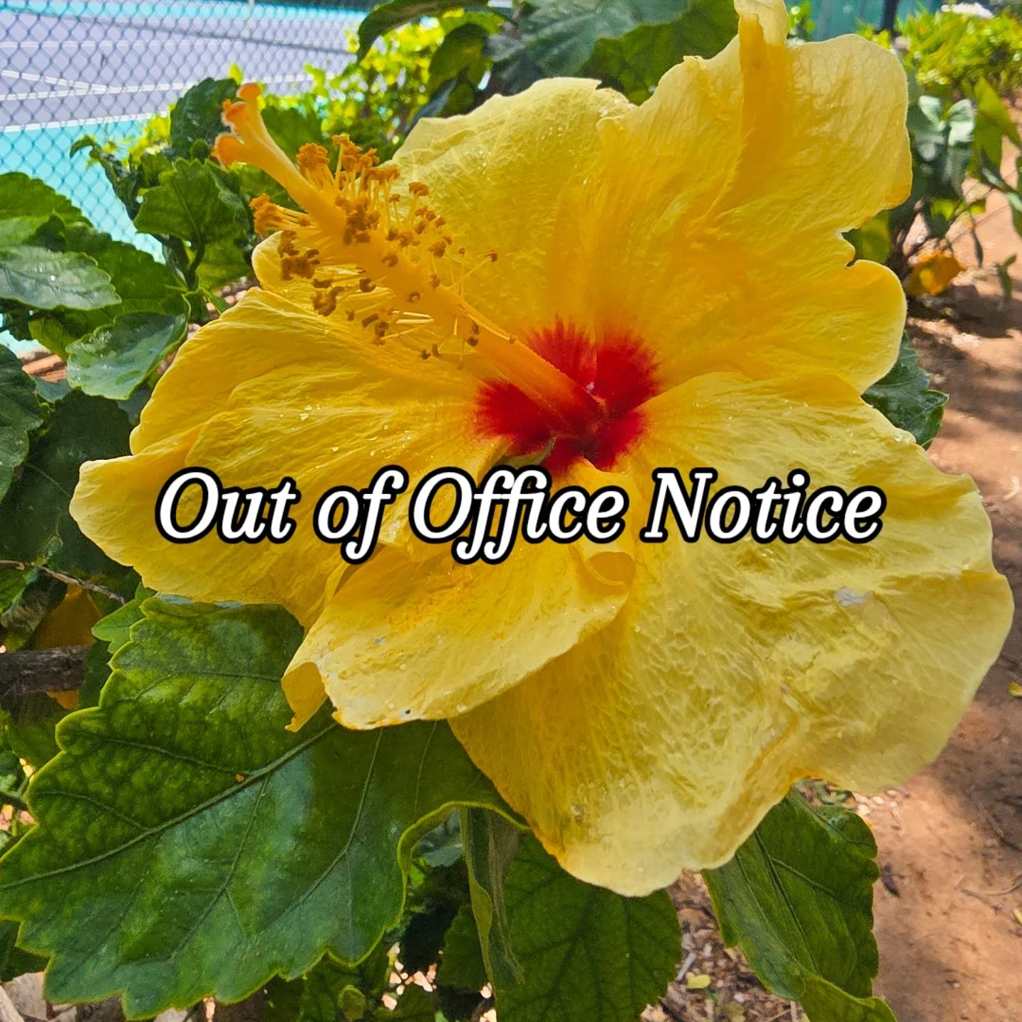 Hello! I&rsquo;m out of office from Thursday, April 2nd to Wednesday, April 8th, and will be back Thursday, April 9th for sessions and meetings. ☀️

It&rsquo;s a short but very necessary break. Rest is resistance (and apparently also sunscreen-depend