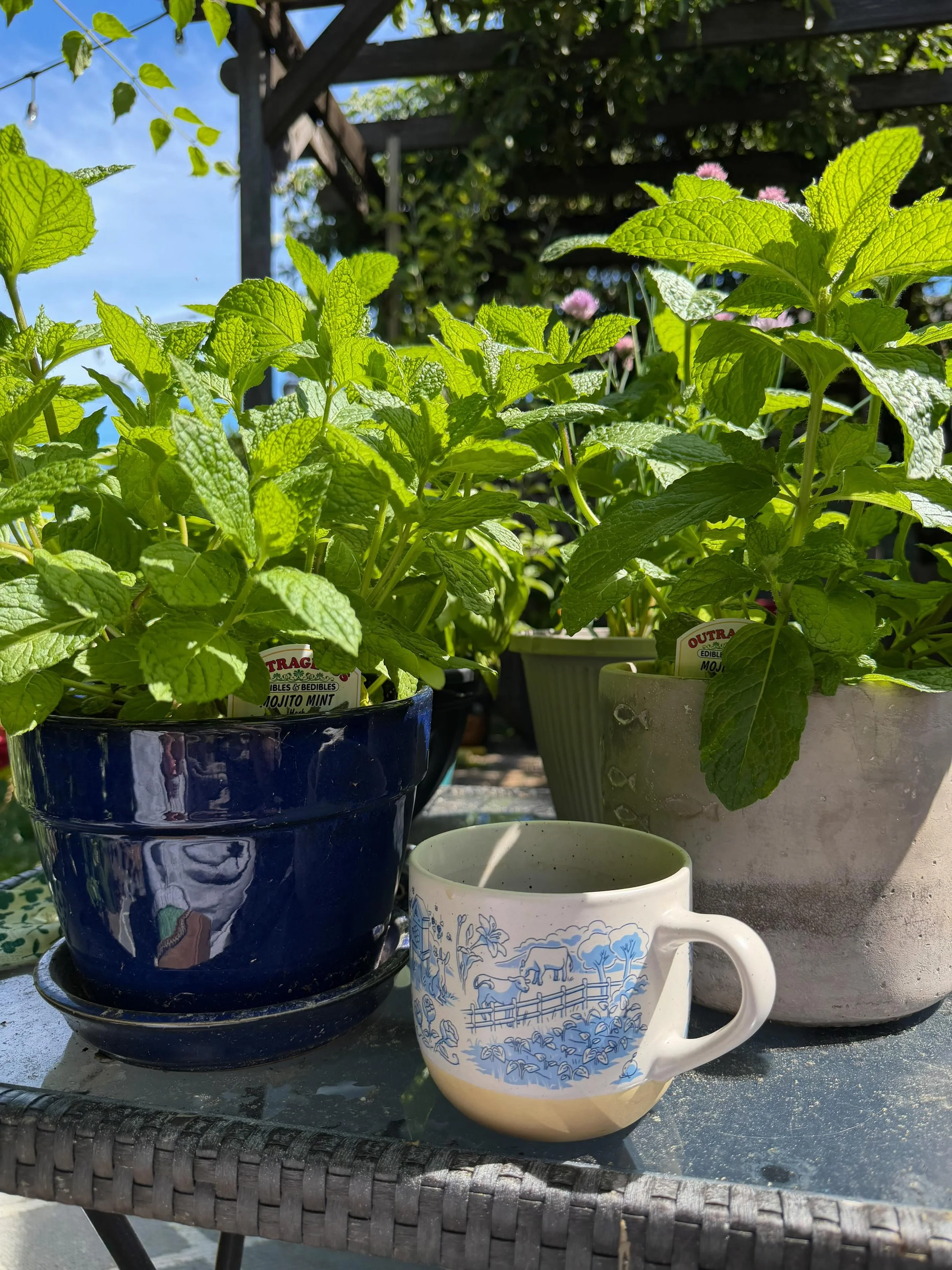Make sure you get some time outdoors while the sky is blue and the sun is shining! We&rsquo;re sometimes nothing more than complicated houseplants, and having some sunlight in your face can help your mood, outlook, and sense of wellbeing for the day.