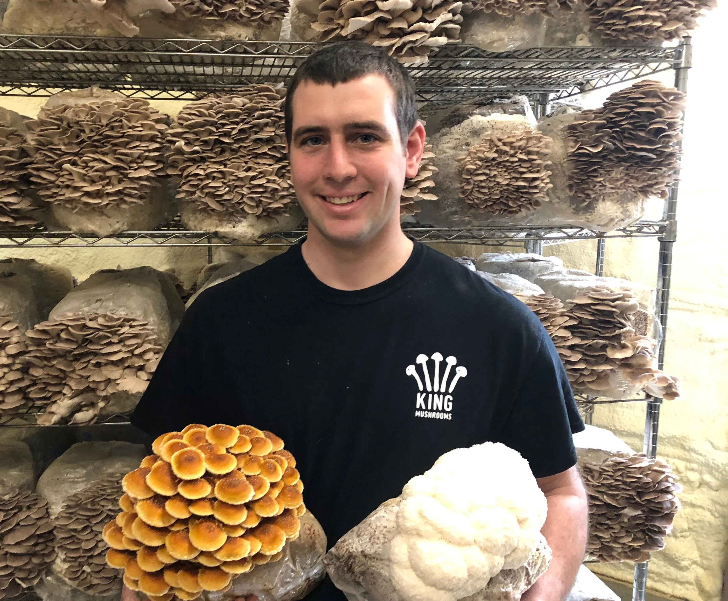 About — King Mushrooms