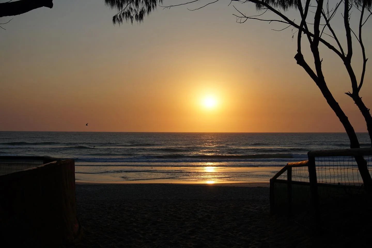 Gotta love a beach sunrise 🌅
-
-
-
-
#sunrise #nature #travel #sunset #photography #beach #sky #photooftheday #naturephotography #landscape #clouds #sun #love #ocean #beautiful #landscapephotography #travelphotography #instagood #summer #mountains #