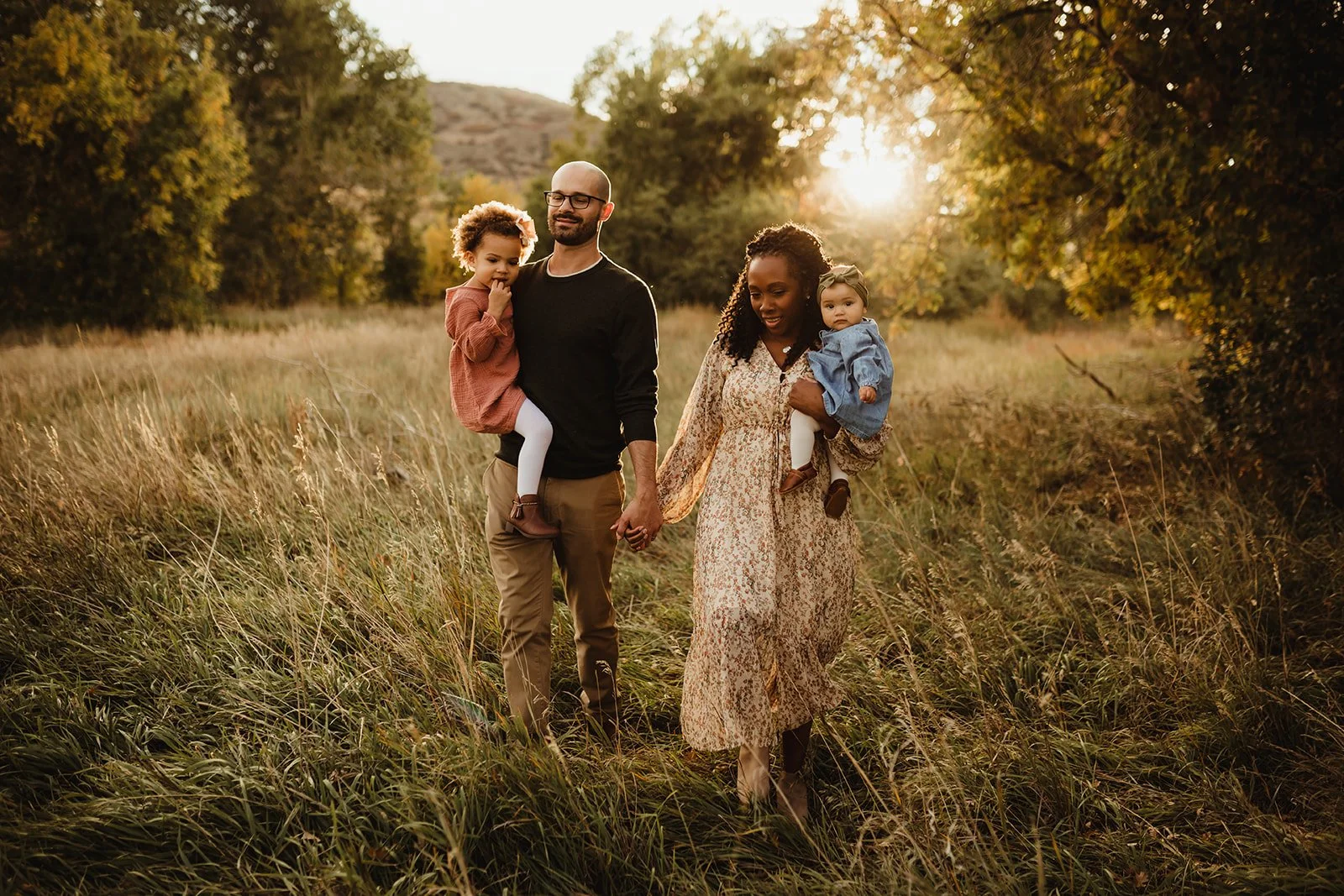 A landscape with snow-capped mountains in the background and rolling hills with a house in the foreground.