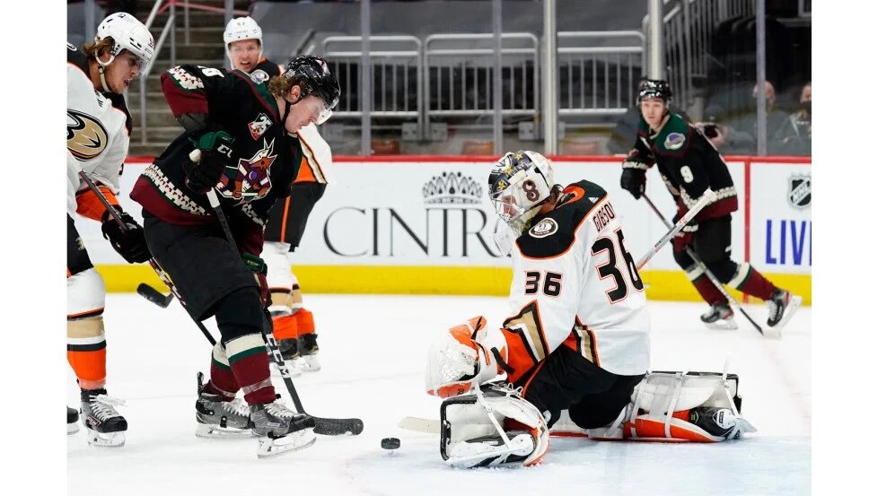 Ducks vs Coyotes RECAP: A Detailed Breakdown