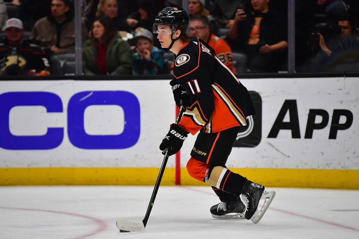 Preview: Hurricanes @ Ducks (2/82) - Home Sweet Home