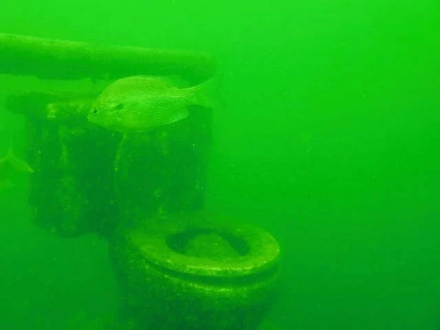 1_1567270127041-756196505.jpg