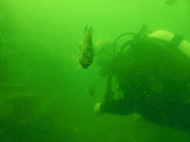 1_1567271881829-1851060192.jpg