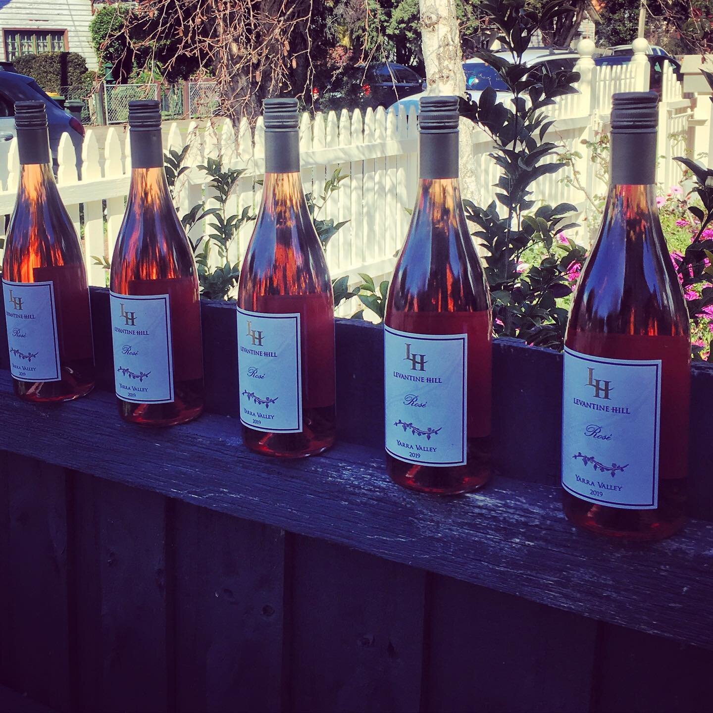 If you are on the fence about  Ros&eacute; this Levantine Hill Estate will make you love this wine style. Made using 79% Cabernet Sauvignon, 8% merlot, 7% Pinot Noir and 5% Malbec.

This is a complex Ros&eacute; with aromas of strawberry and cream, s