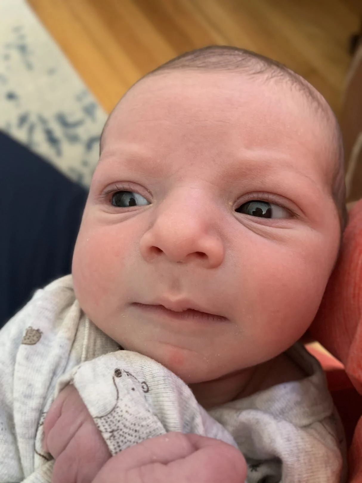 Not a passport quality close up