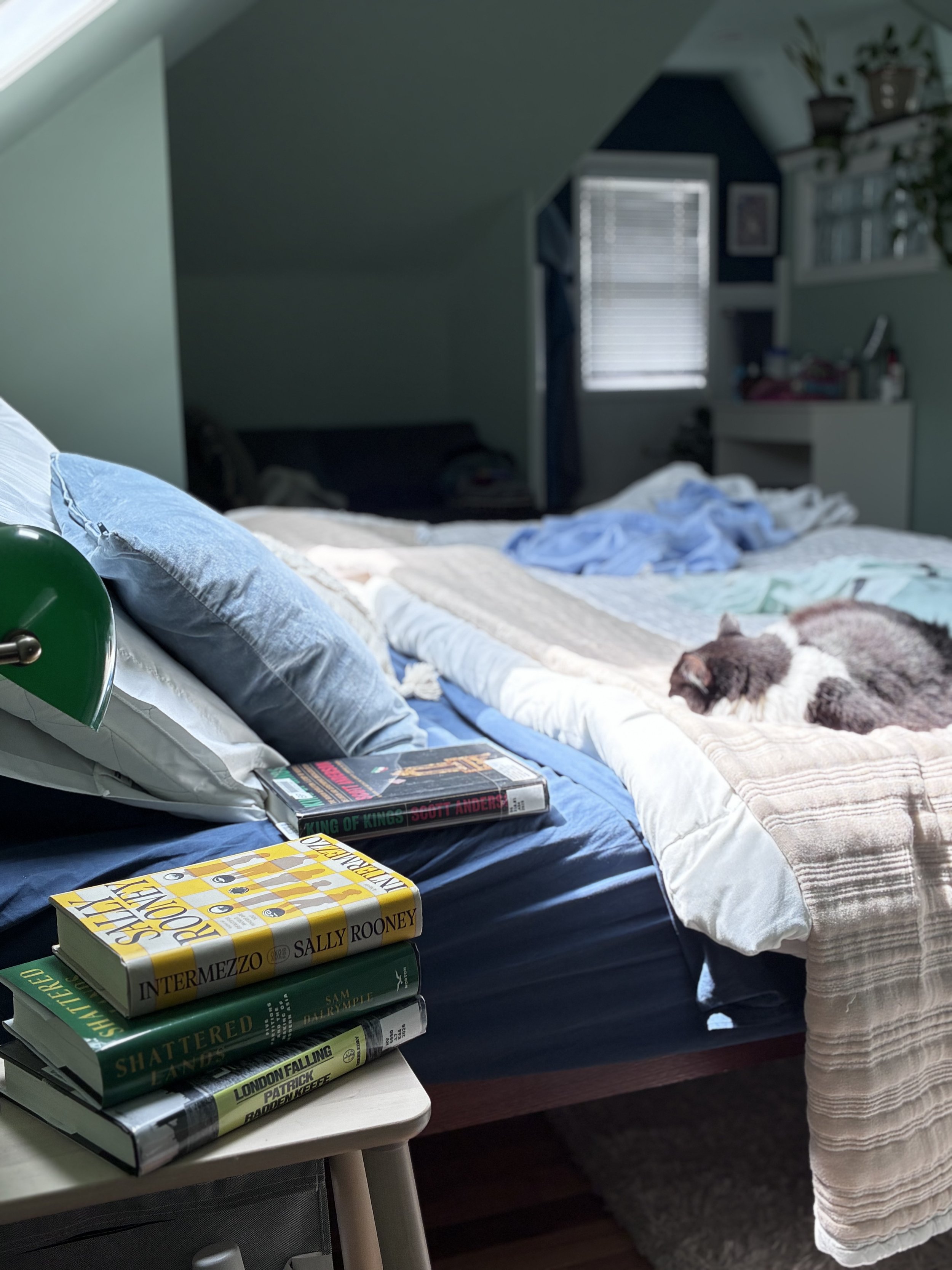 The End of Reading?