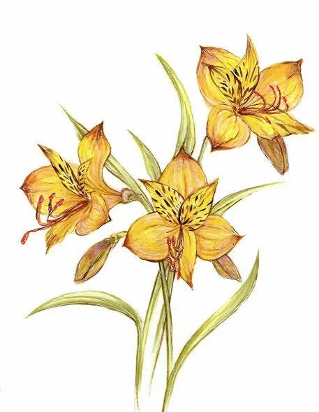 Yellow Flowers (1).jpg