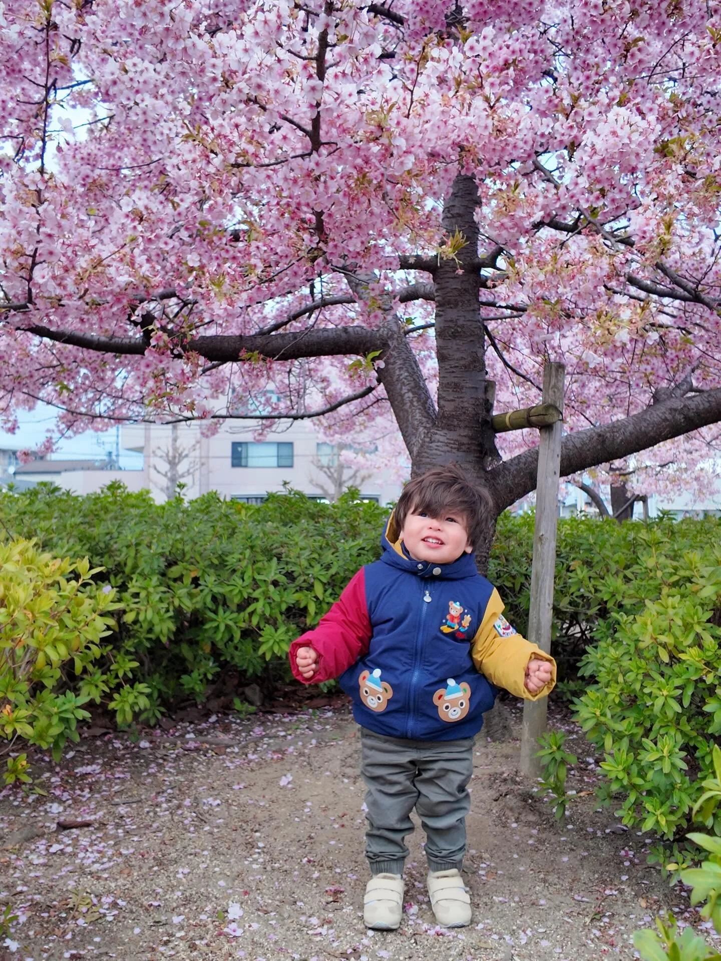 Happy birthday to our little dumpling! 🎂

I can&rsquo;t believe 2 years have gone by since you arrived in our lives. You&rsquo;re a bright and shining star each and every day, and I&rsquo;m so grateful to be your momma, little one. You never cease t