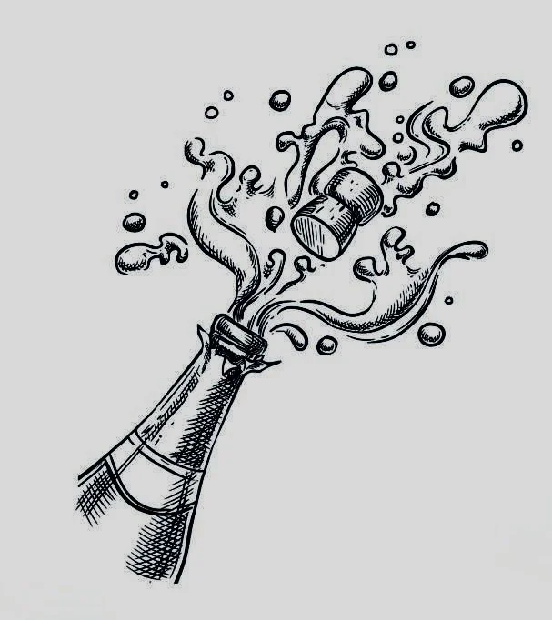 Champagne Socialists&nbsp;
