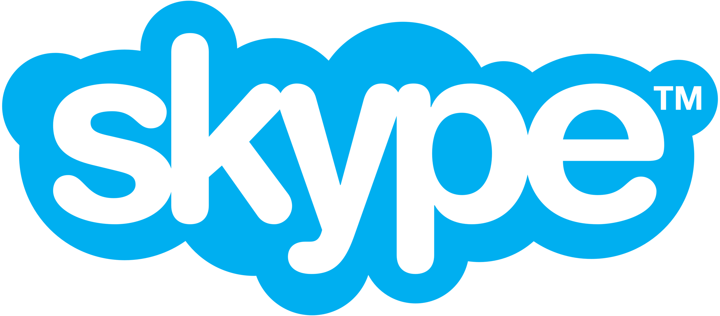 Skype_logo.png