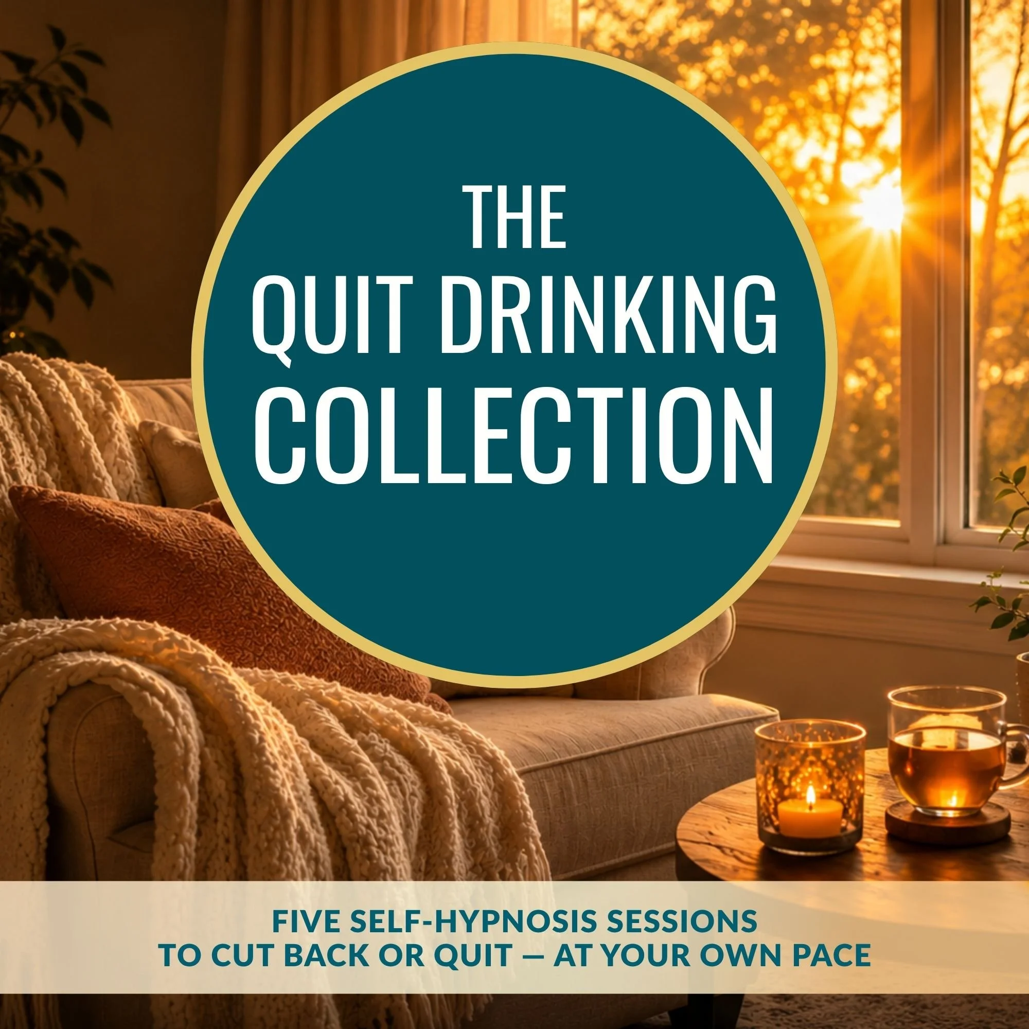 The Quit Drinking Collection