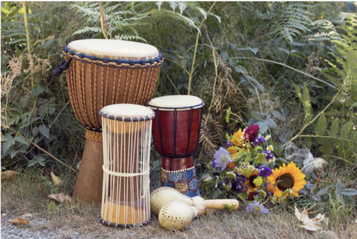 Three traditional drums and a pair of maracas outdoors. To the right of the instruments is a sunflower, among other flowers.