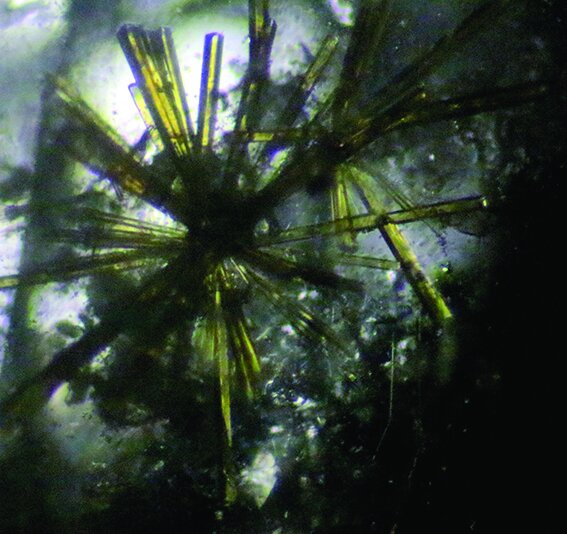 Sample75_IMG_0064_Crop.jpg