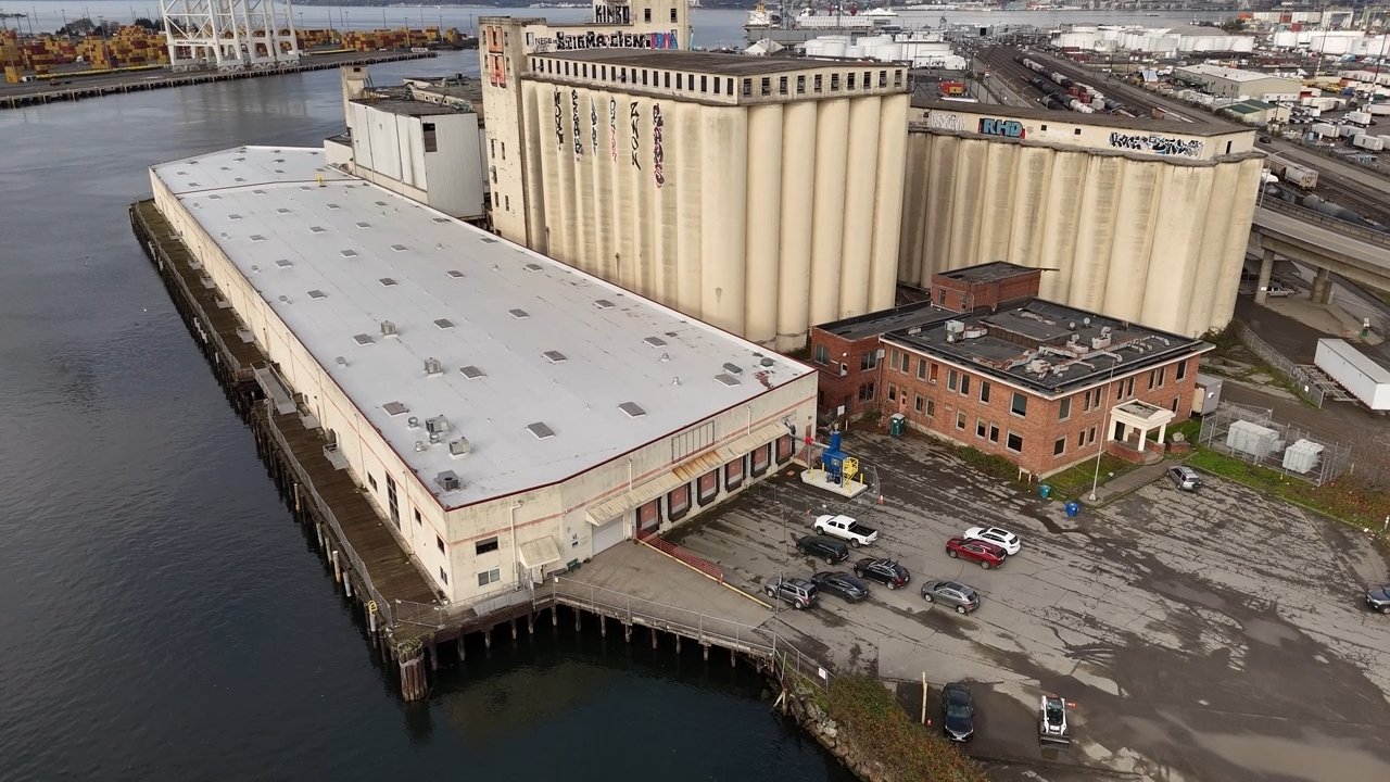 Lights, Camera, Action!