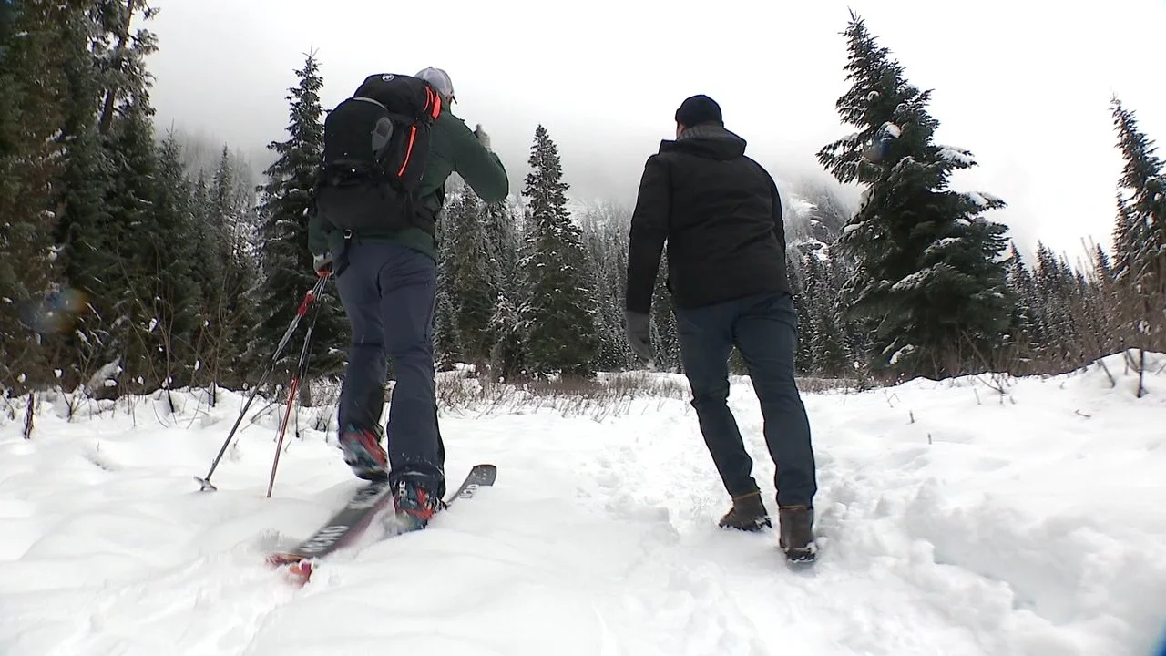 Avalanche Forecasts Explained