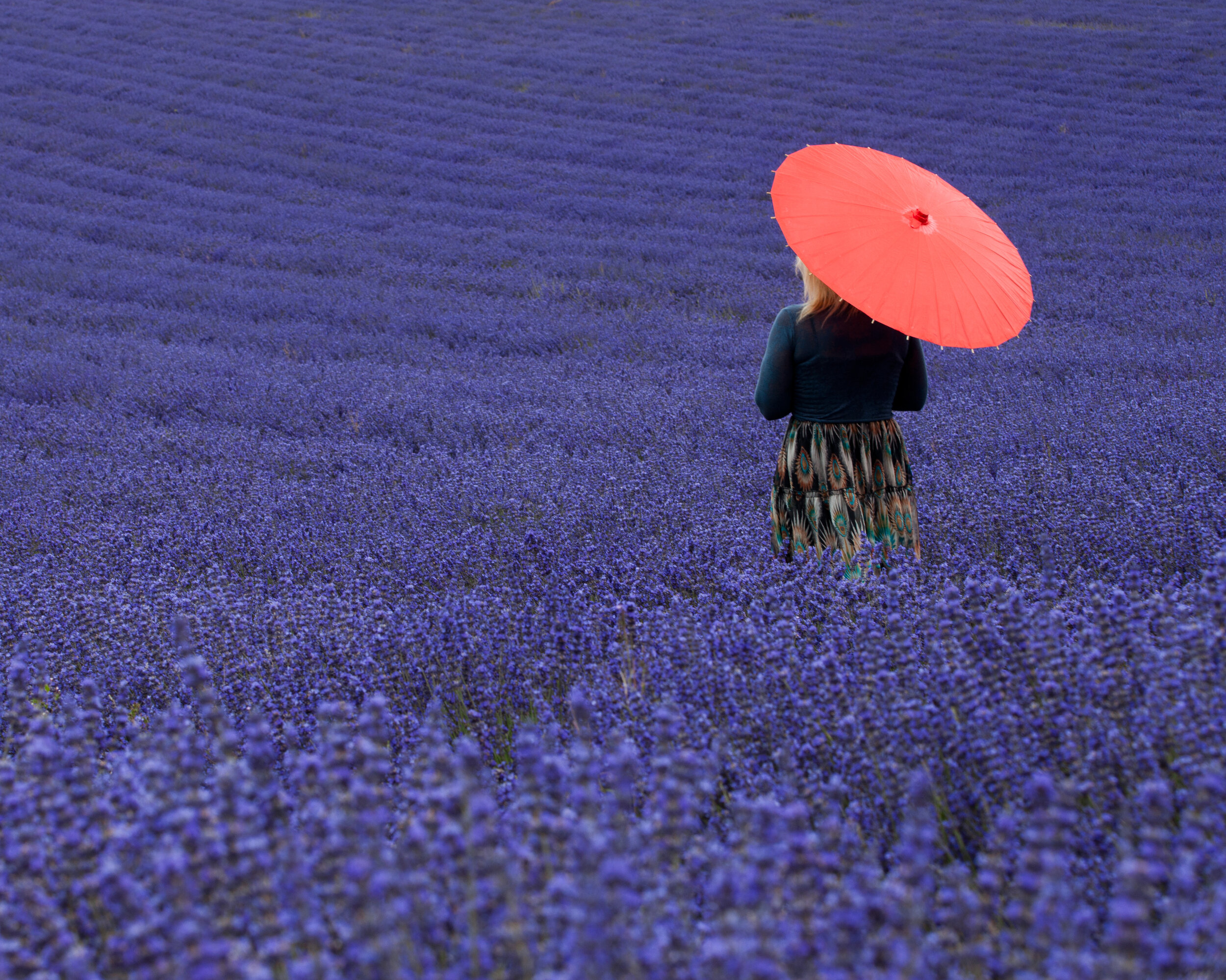 001.jpg