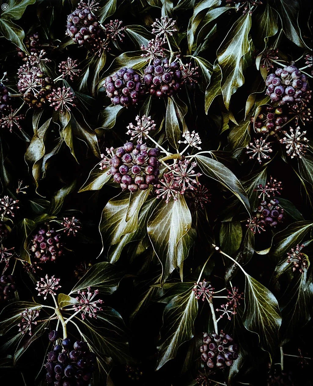 Ich habe grosse Freude an meiner neuen Arbeit. Richtige Fotografie ohne Ki:-)

Mehr Bilder findet ihr online auf meiner Webseite. Link in Bio.

#luxuryfoodstill #luxuryfoodphotographer #luxuryfoodphotography #conceptualfoodphotography #conceptualfood