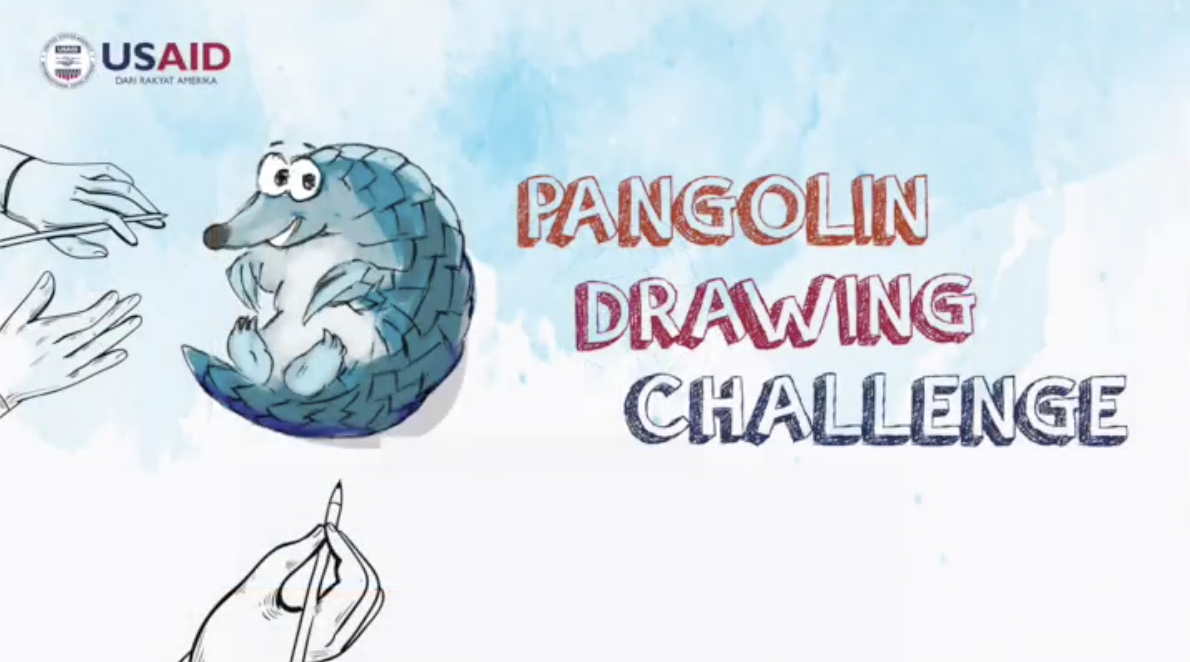 Social Media Campaign: World Pangolin Day