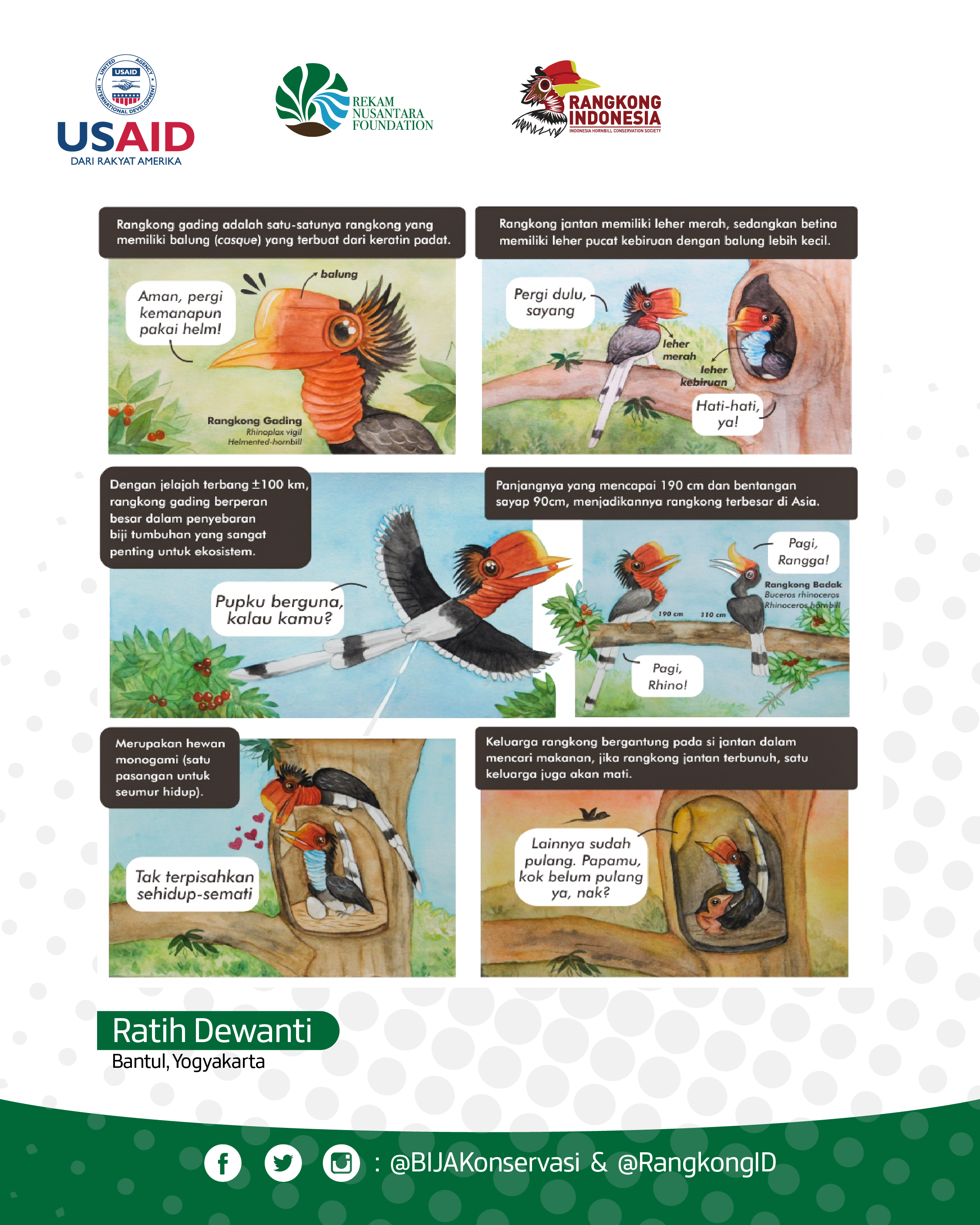 Helmeted Hornbill Comic Contest