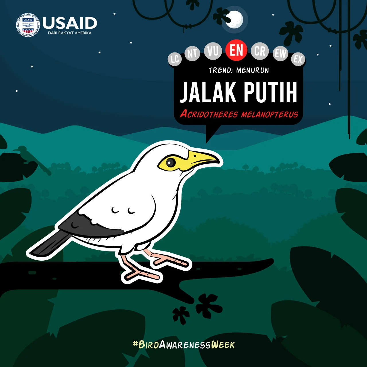 Bird WeekArtboard 174@2x-100 (2).jpg