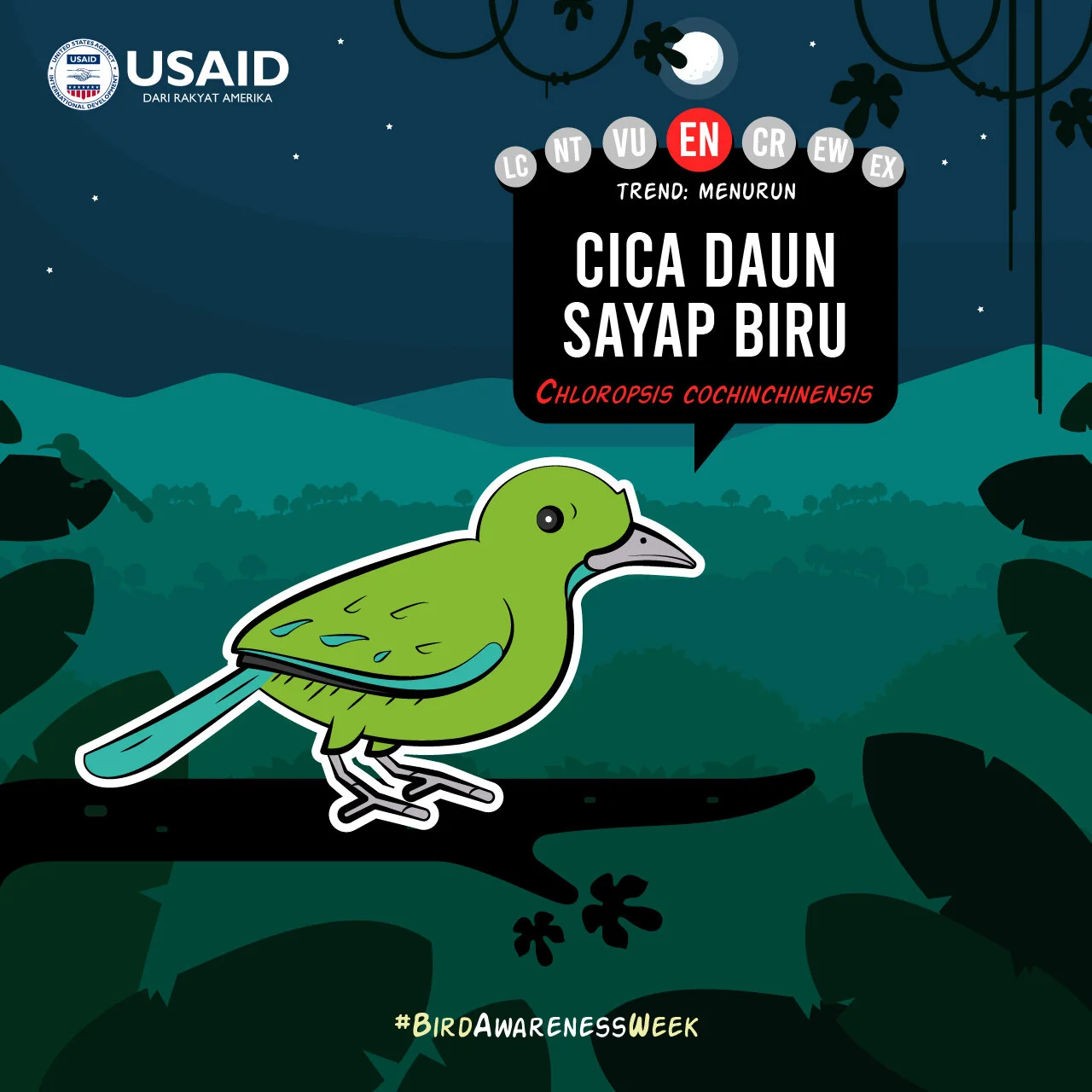 Bird WeekArtboard 171@2x-100 (1).jpg