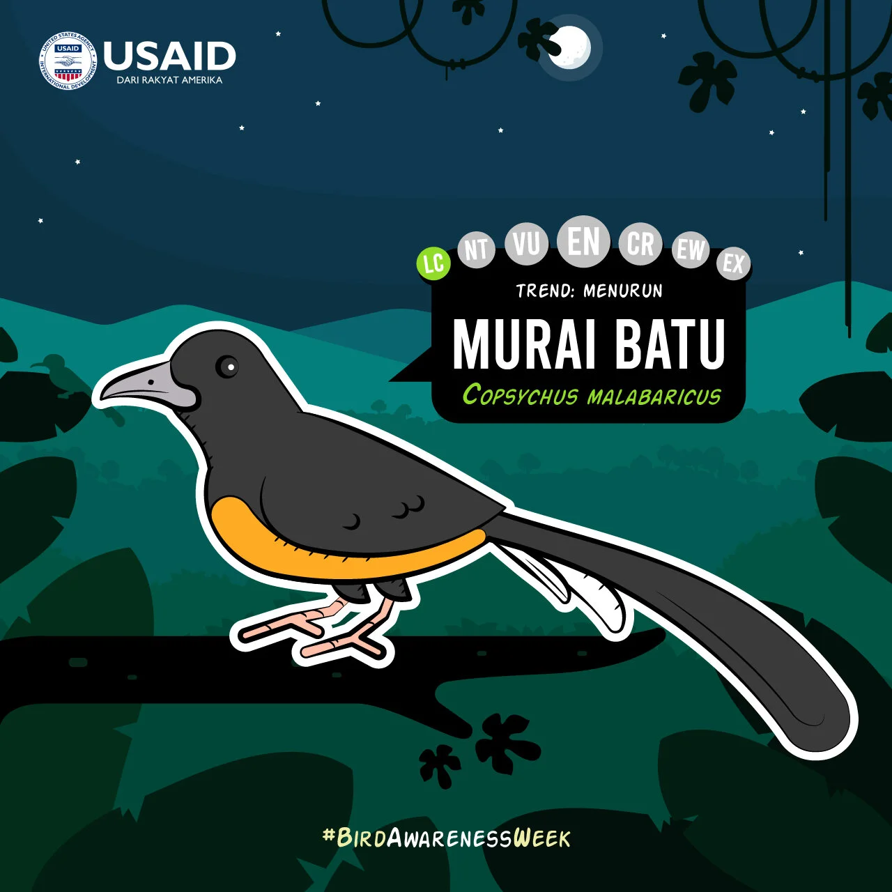 Bird WeekArtboard 170@2x-100 (1).jpg