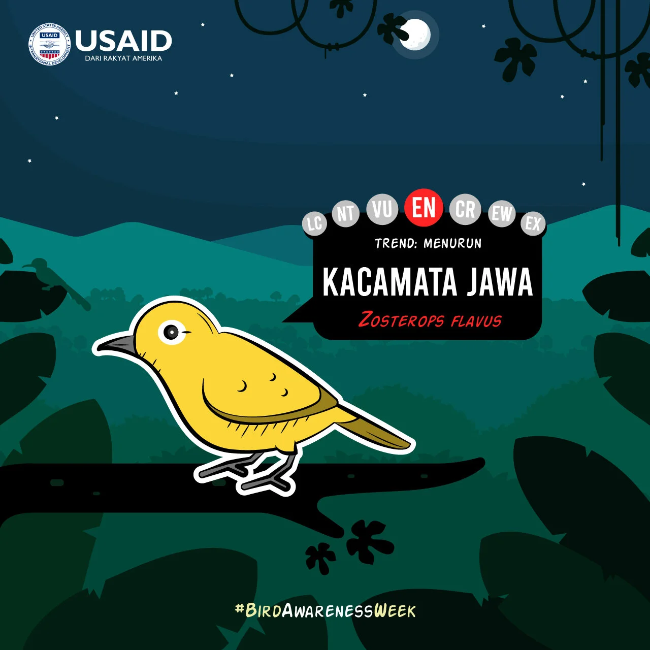 Bird WeekArtboard 172@2x-100 (1).jpg