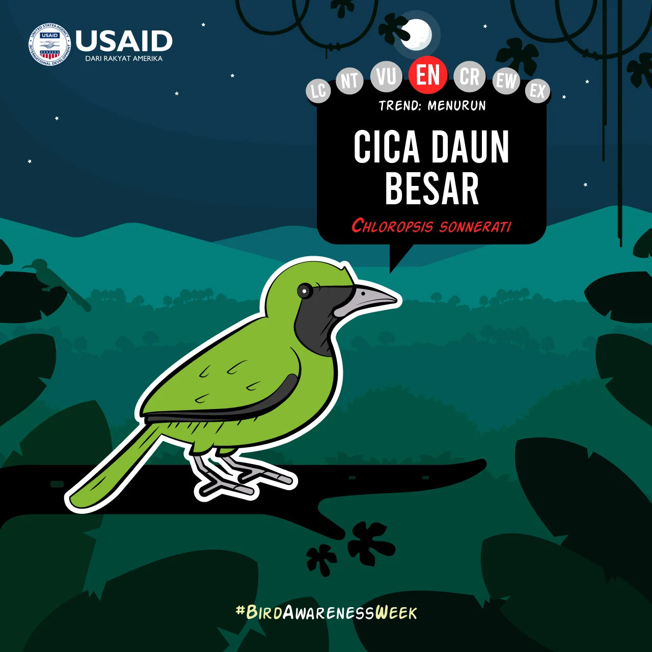 Bird WeekArtboard 173@2x-100 (1).jpg