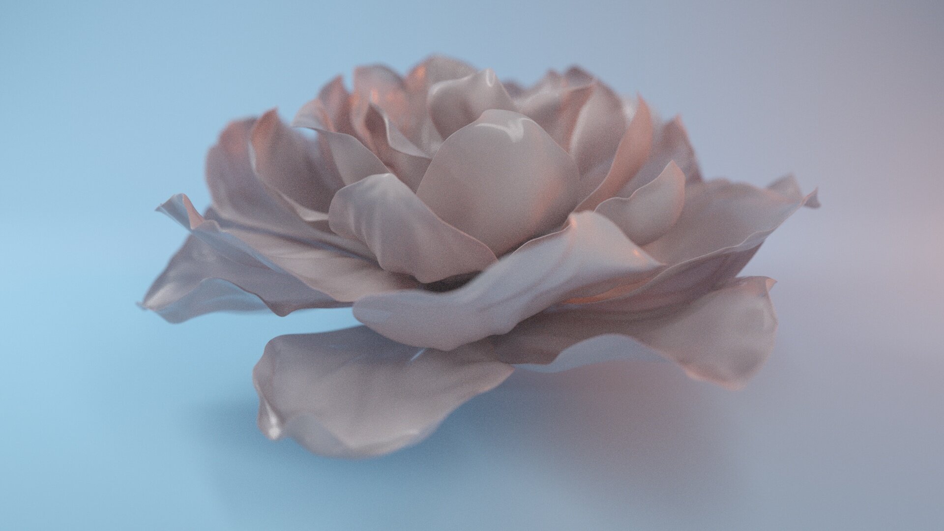 Gardenia1.jpg