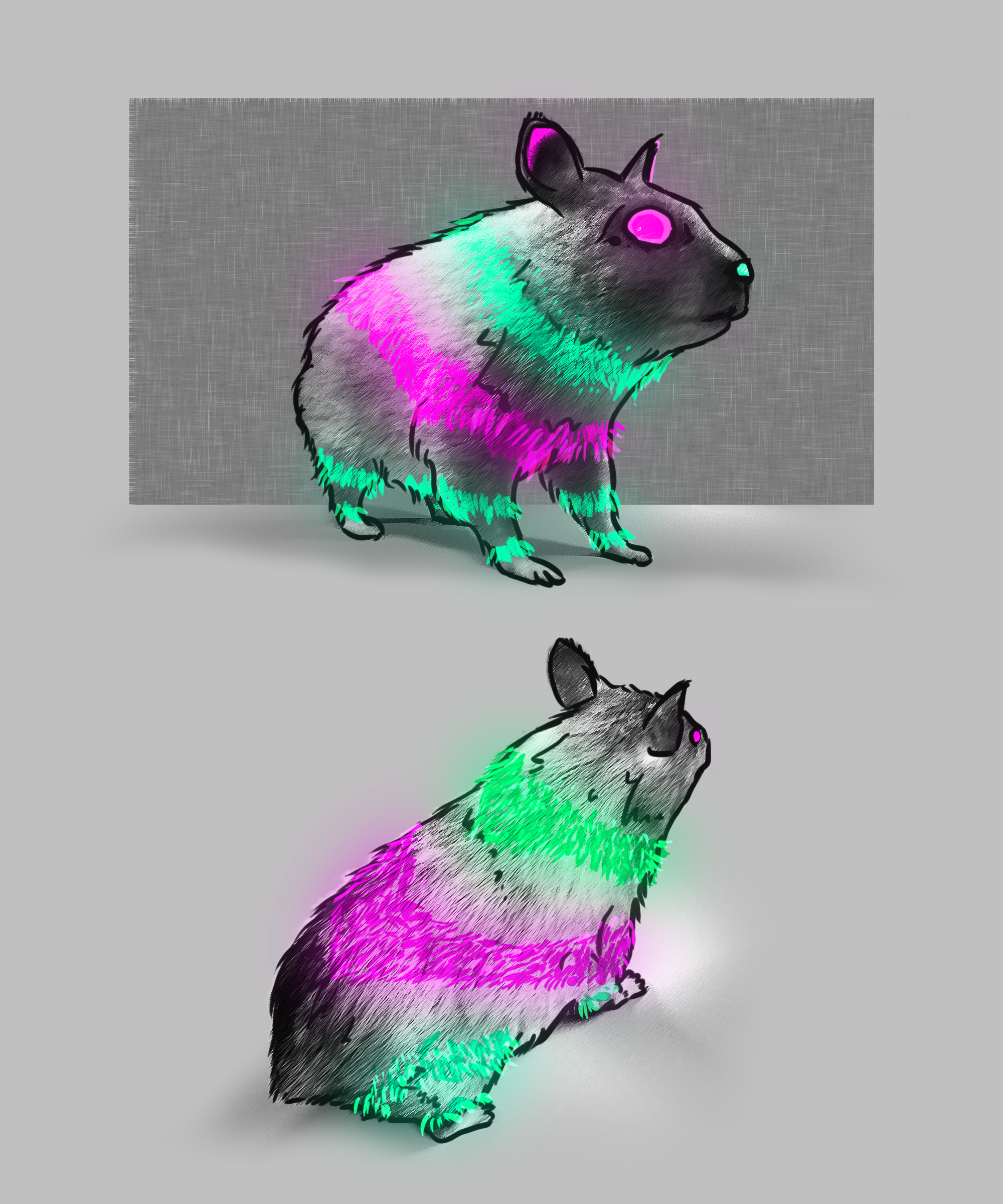 GuineaPig_01_PatternConcept.png