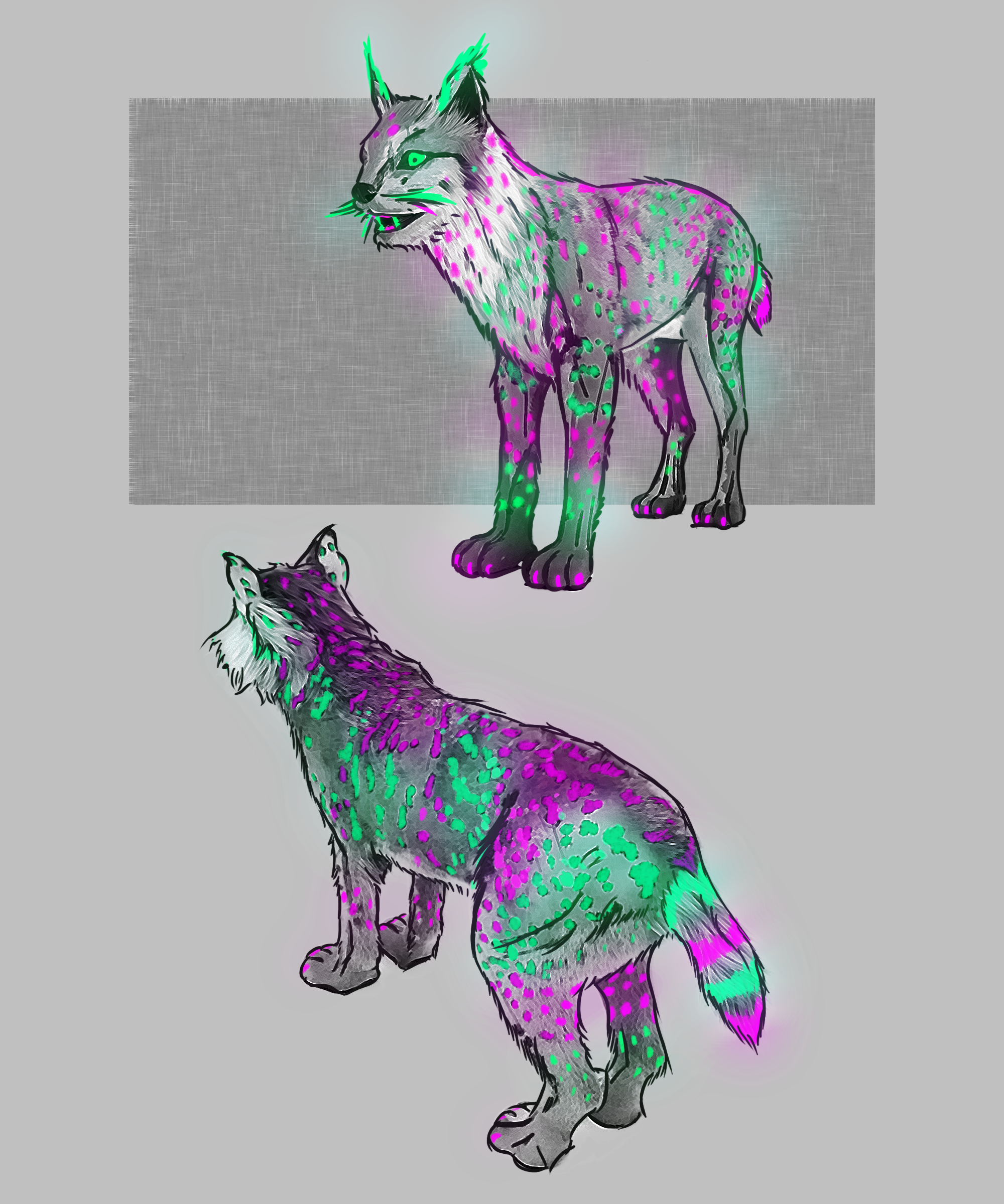 Lynx_01_PatternConcept.png