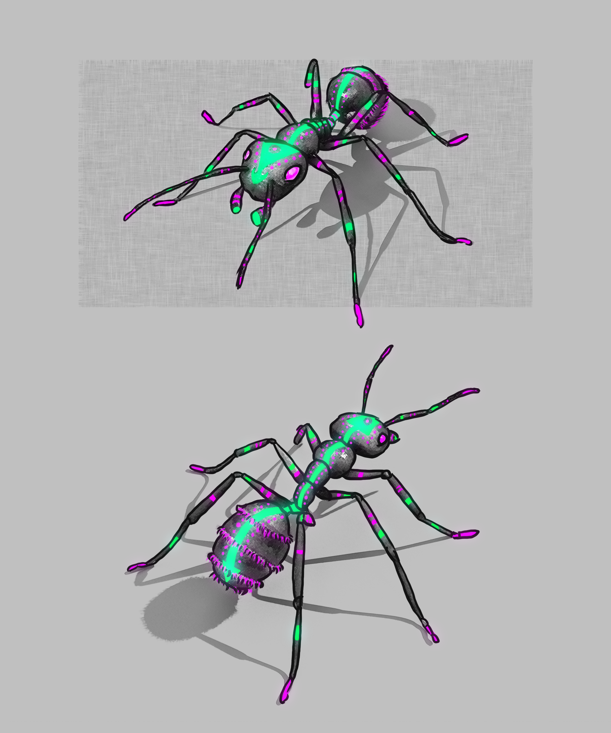 Ant_01_PatternConcept.png