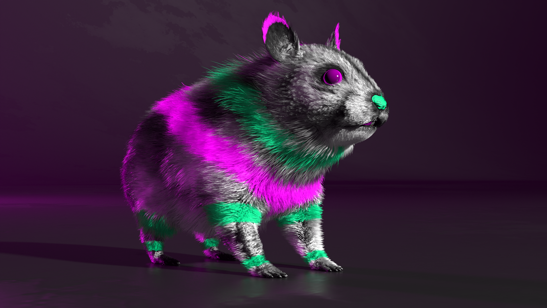 Hamster_01_v01.png