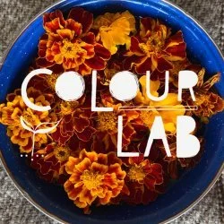 Colour Lab: Make Your Mark!