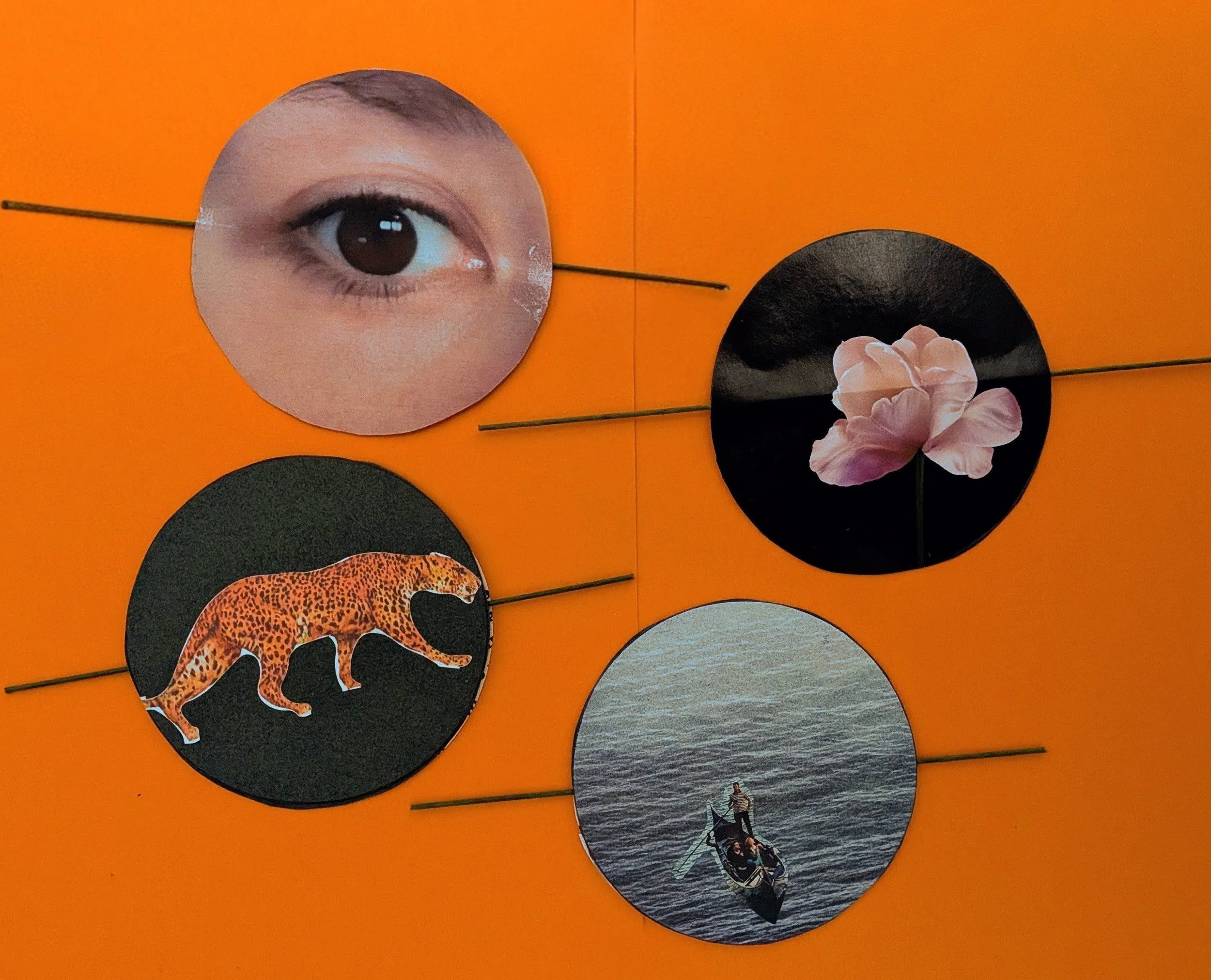 Double Vision: Make Your Own Thaumatrope