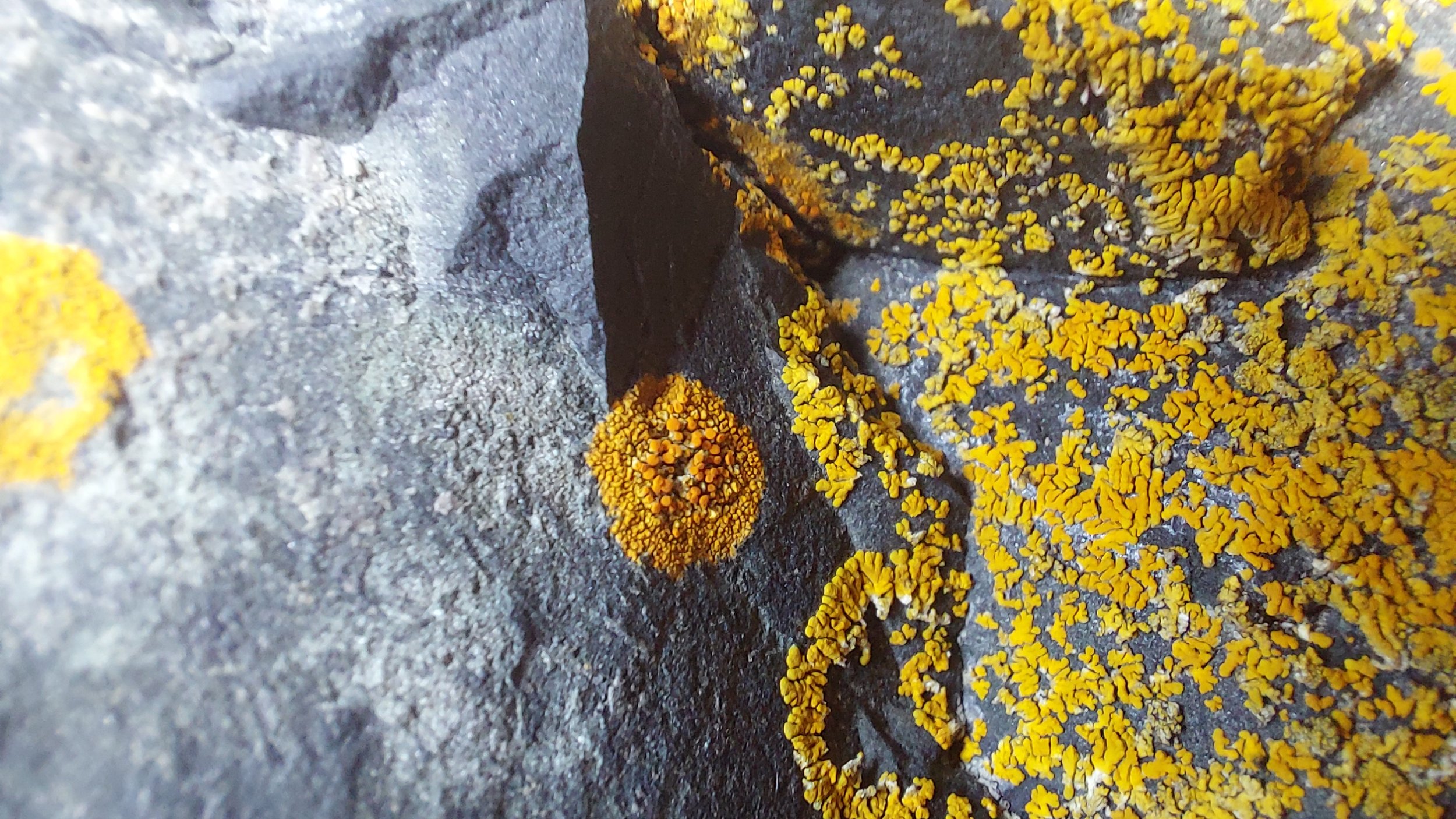 Anita Reynolds - Inspiration