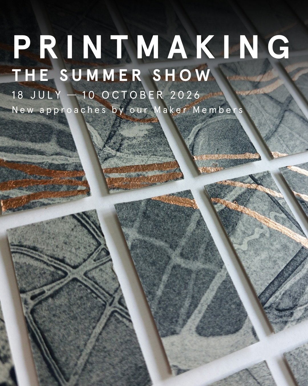 With just over one month left of the Summer Show, get to know four of our Maker Member printmakers: @AnitaReynoldsArtist, @DeborahTreliving, @CatherineAdeArtist, and @JudithWoodings.

Deborah Treliving combines intaglio and relief processes with coll