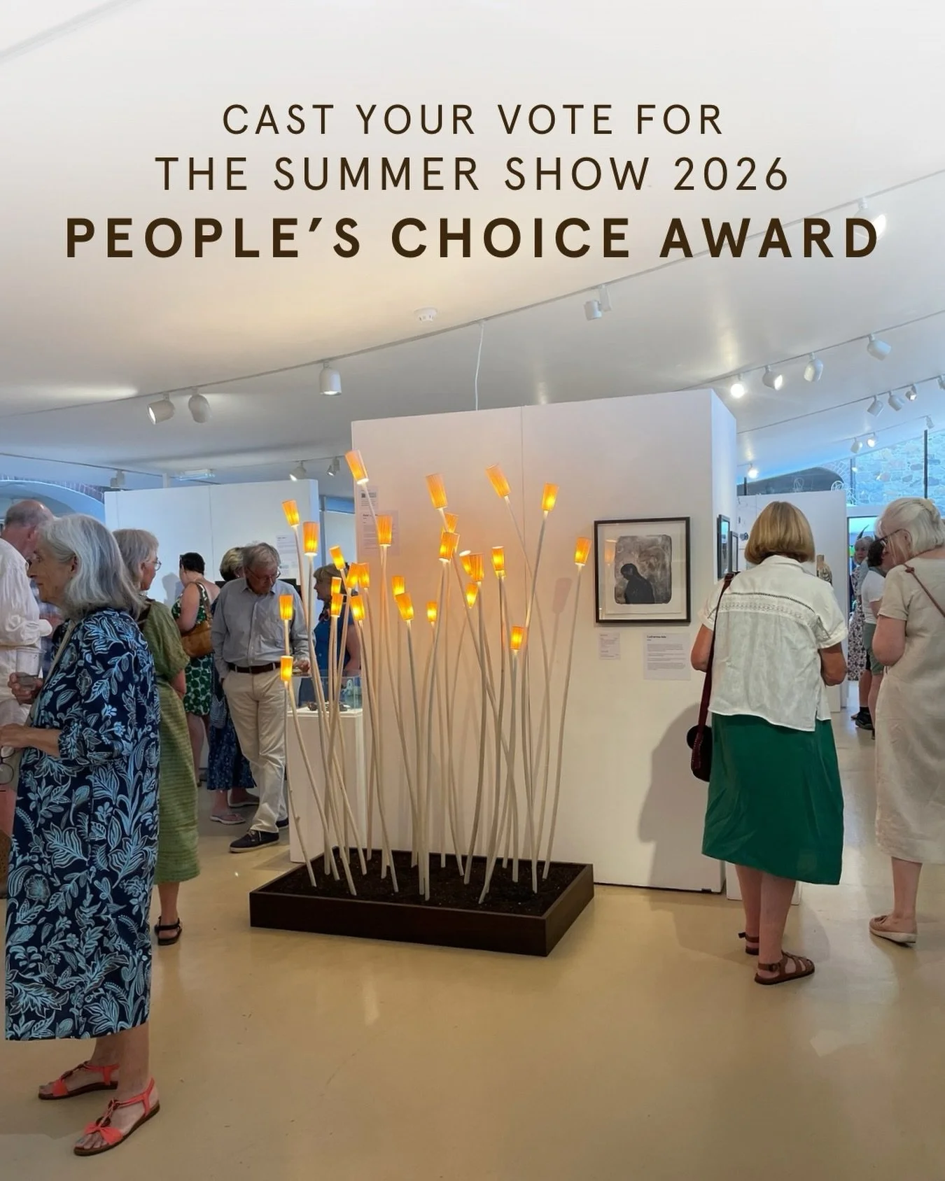 Was there something that caught your imagination in the Summer Show this year? If so, let the maker know! Vote for them for The Summer Show 2026 People&rsquo;s Award.

Over 50 of our Maker Members exhibited in this year&rsquo;s show, sharing work tha