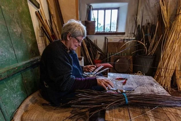 Willow Basket Weaving