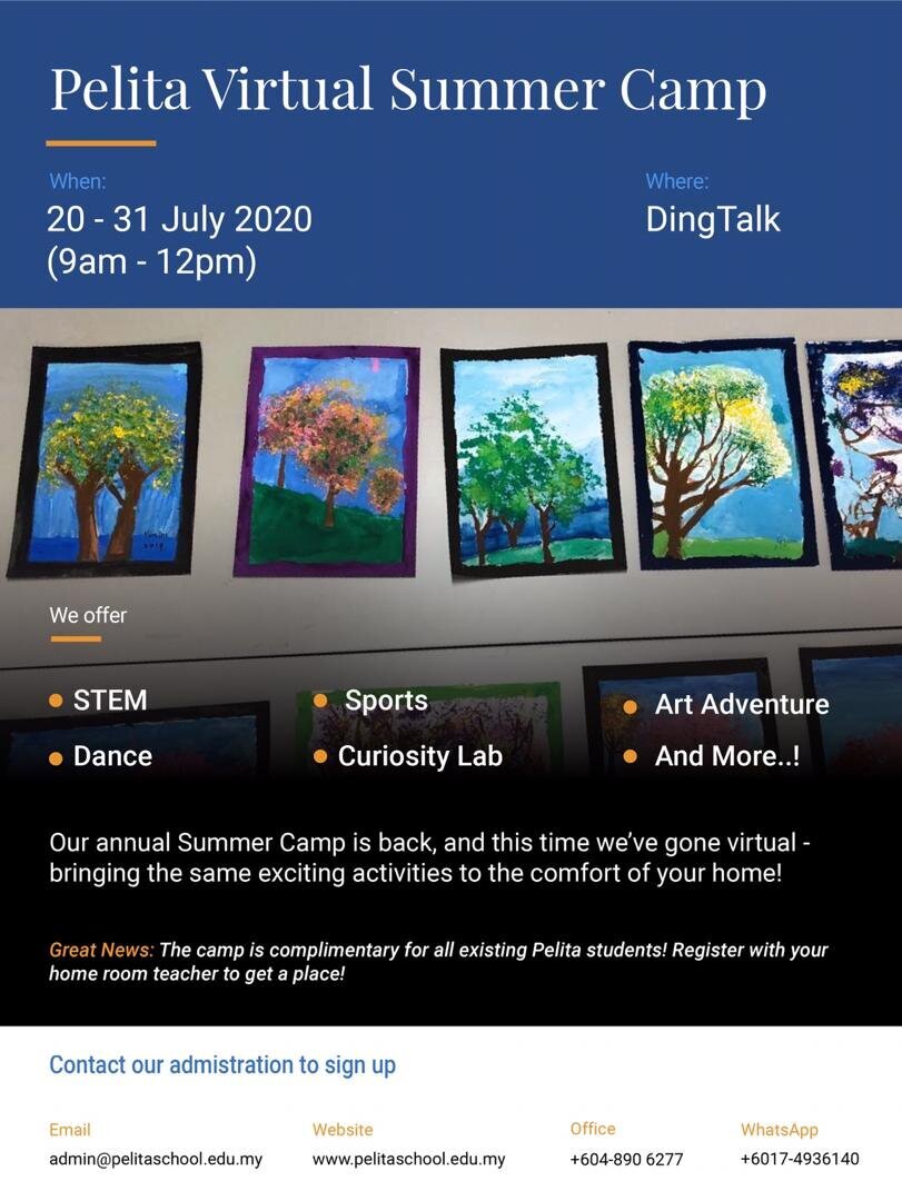 Virtual Summer Camp