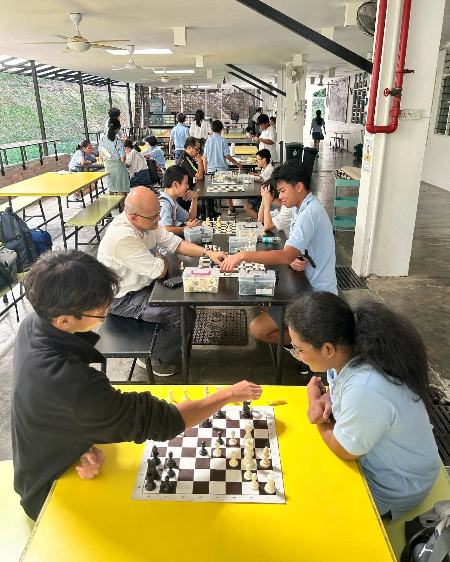 Need something to get off your chess? ♟