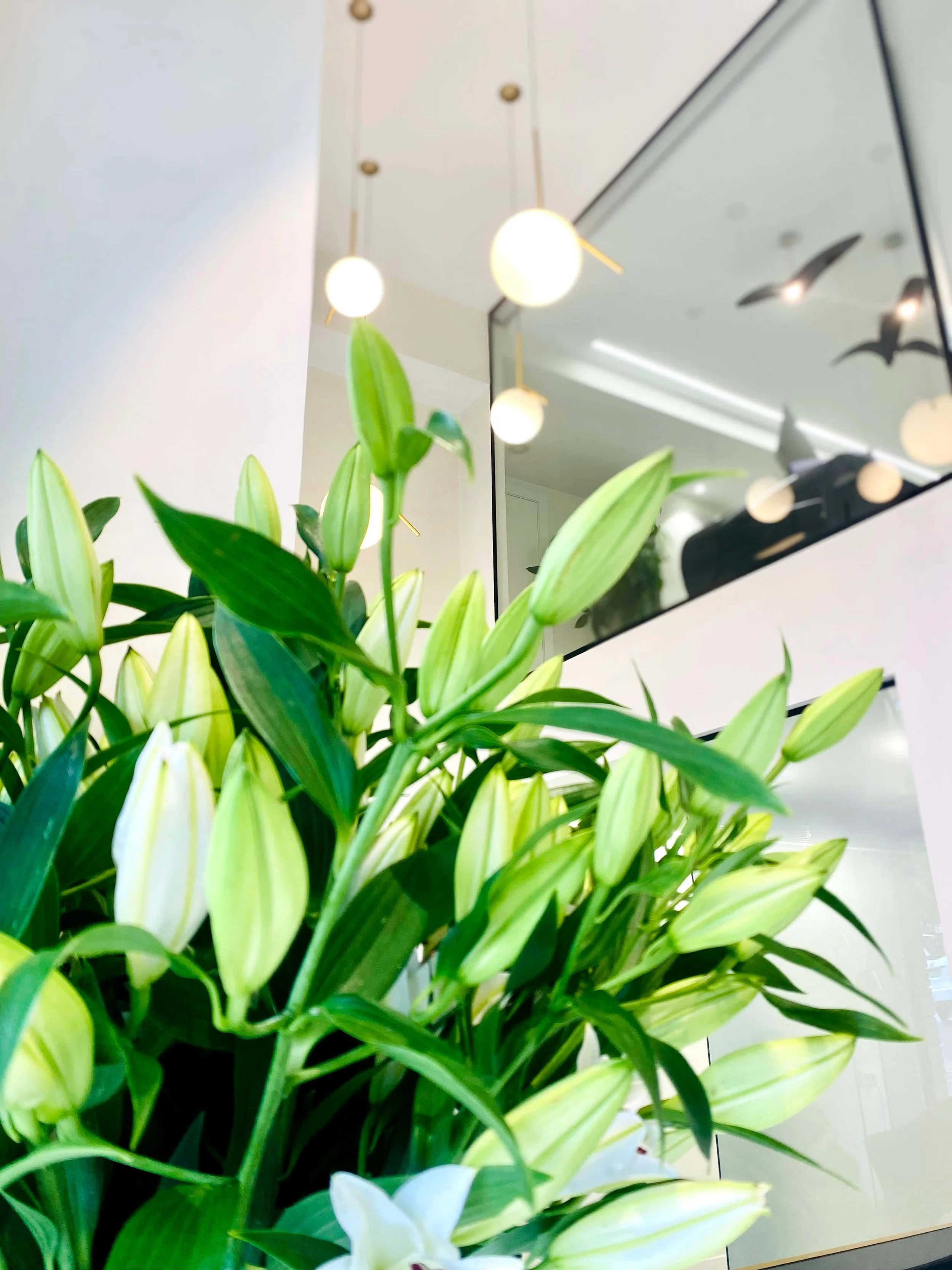 10 detalle-ambiente-clinica-estetica-barcelona.jpg