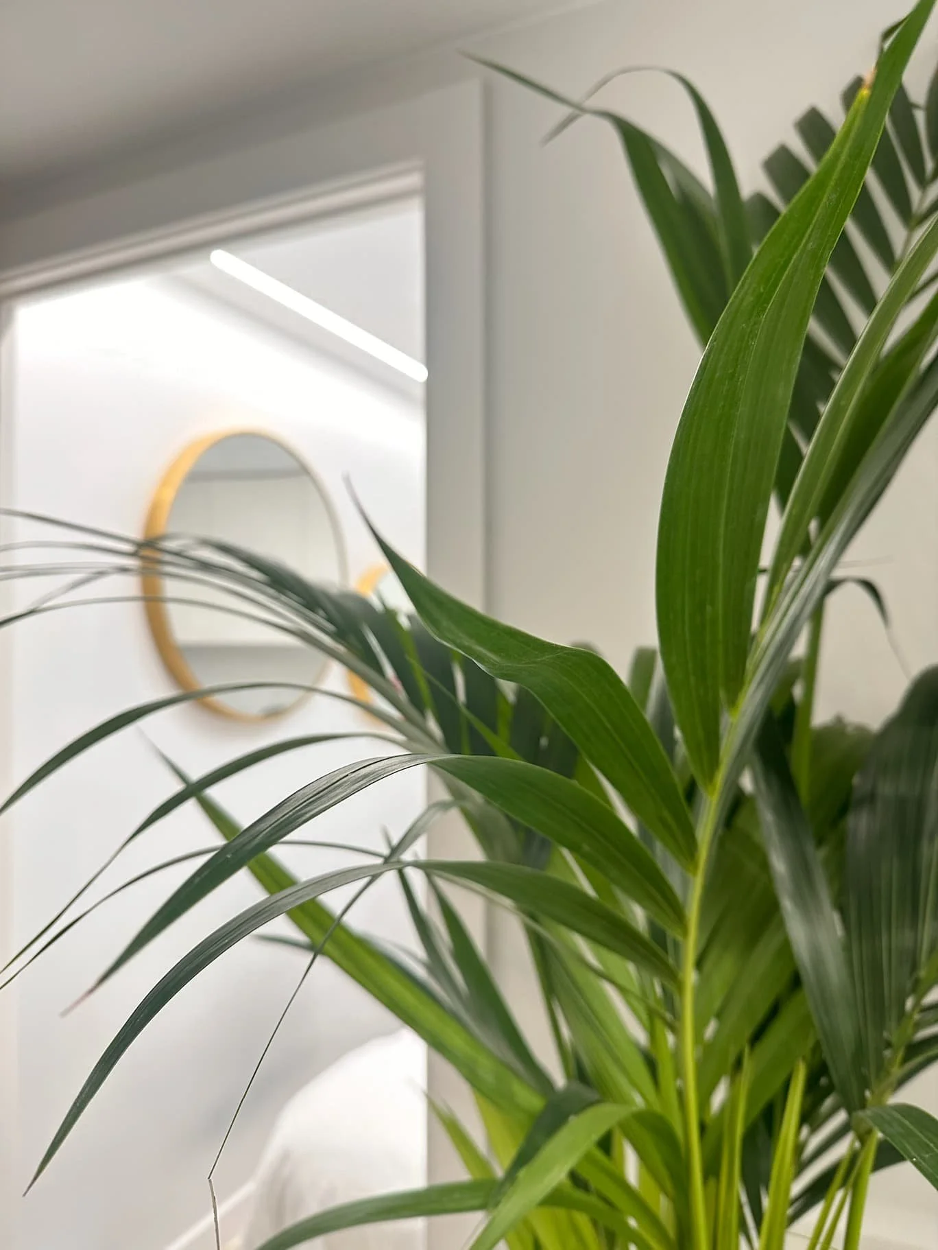 16 detalle-clinica-cirugia-reparadora-barcelona.jpg