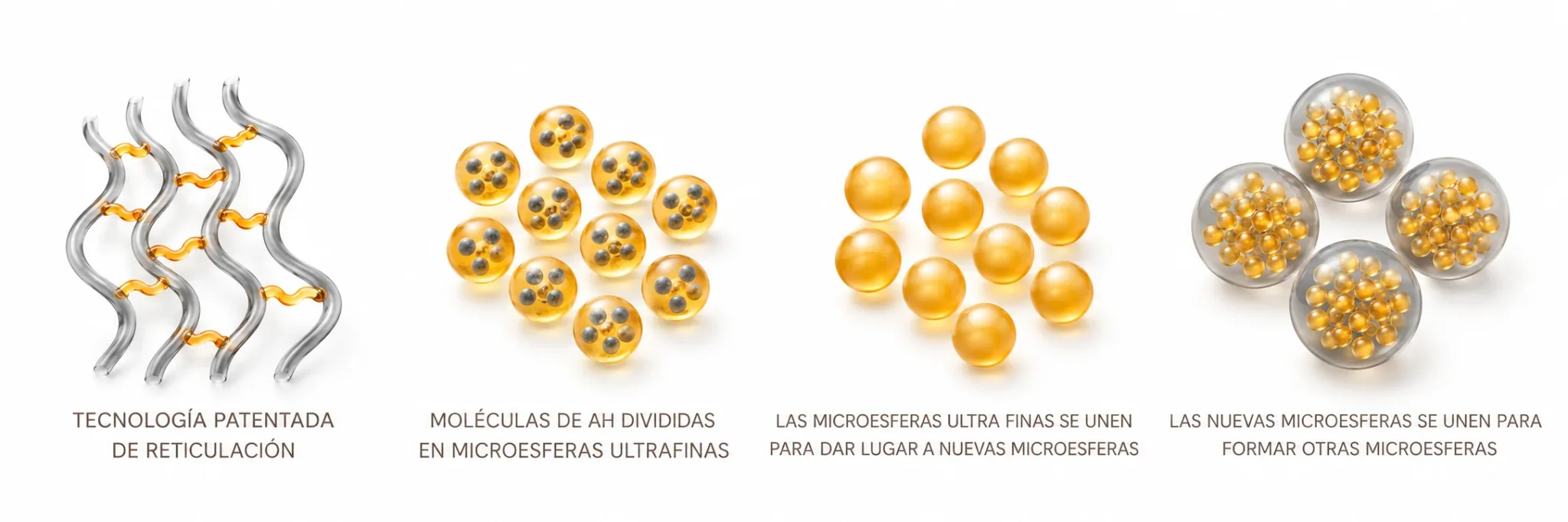 Engrosamiento de pene en Barcelona: comparación antes y después.