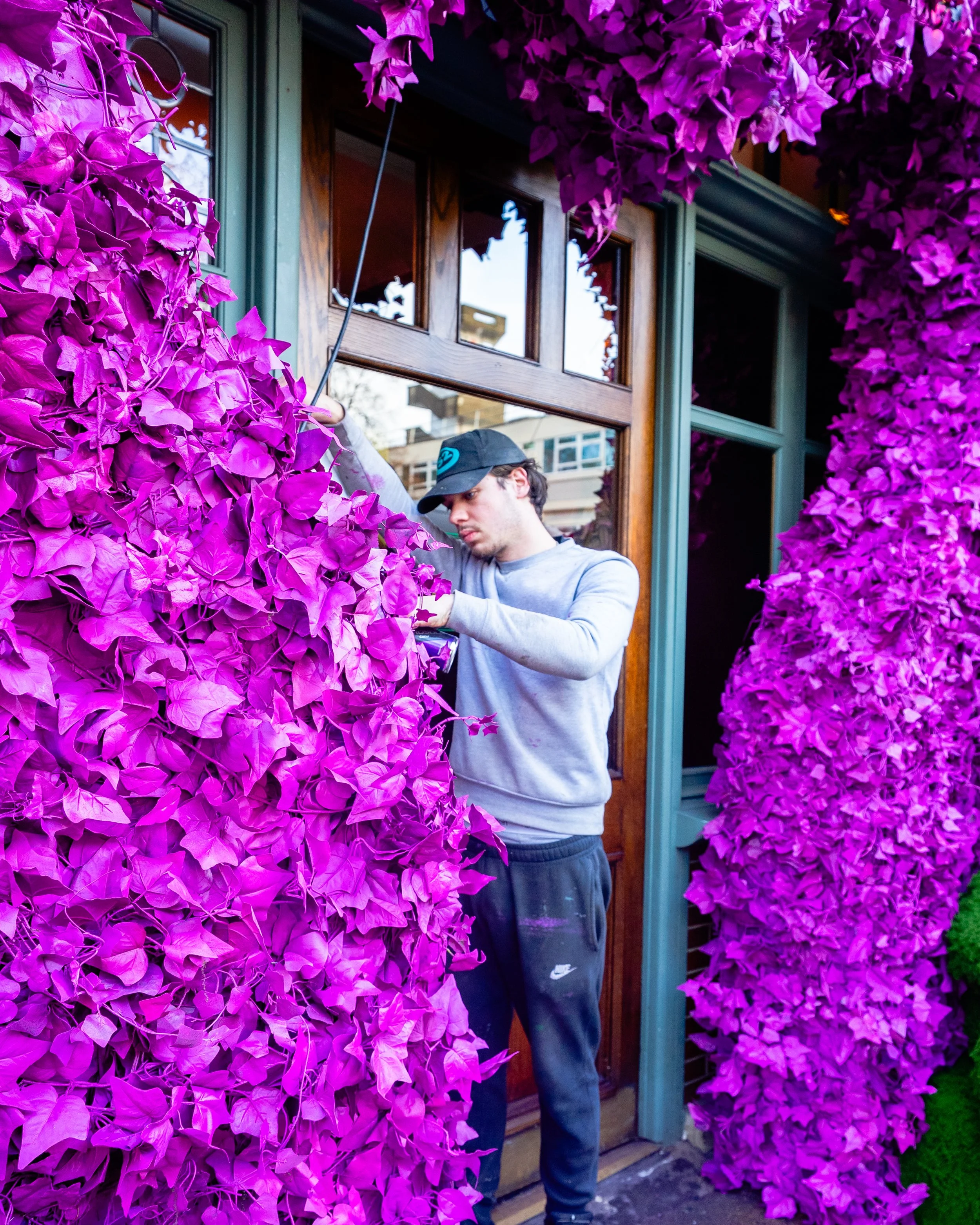 The Ivy -4.JPG