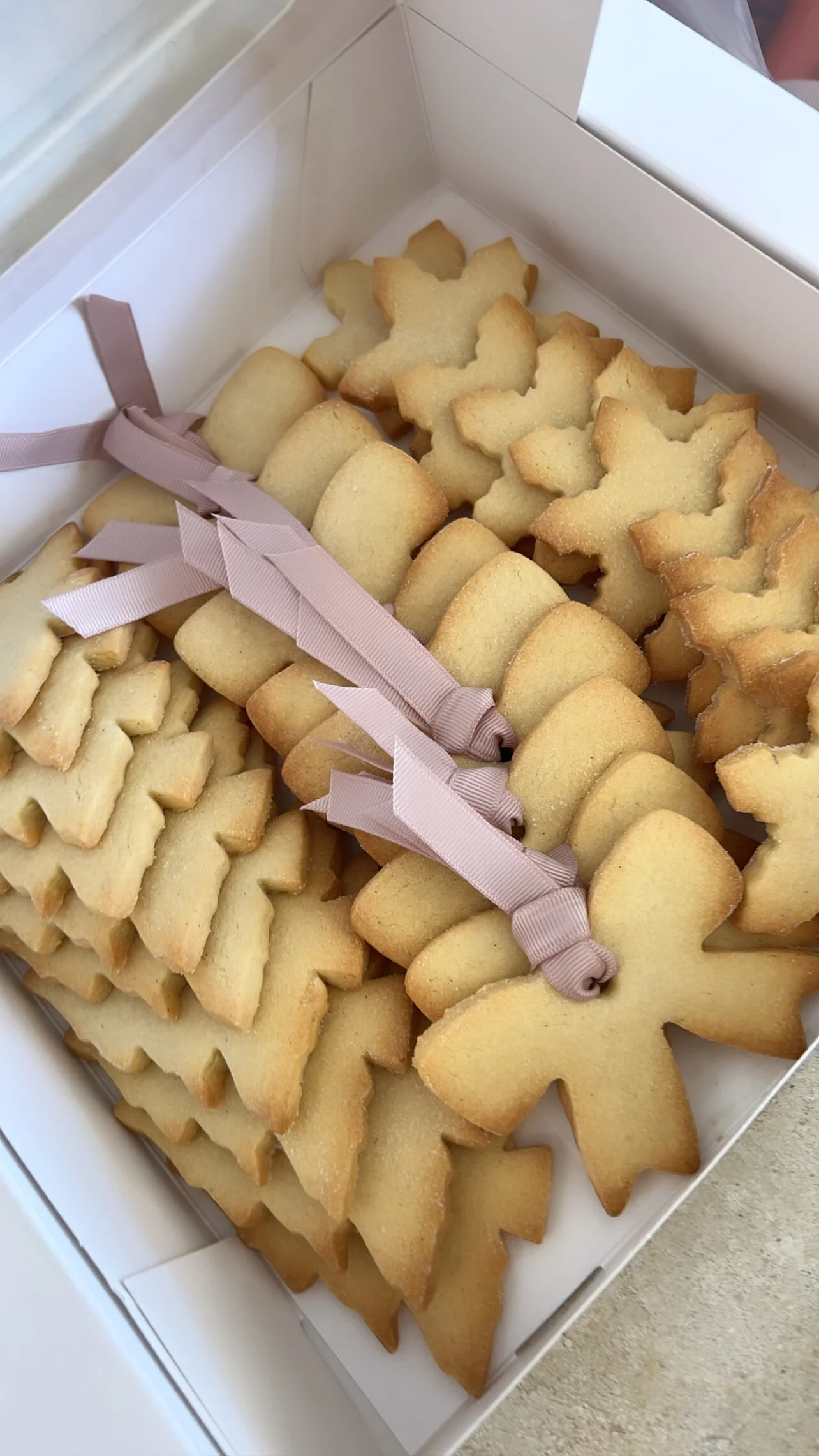 91CA9F6A-3CFF-4310-9BBA-E707826F7746