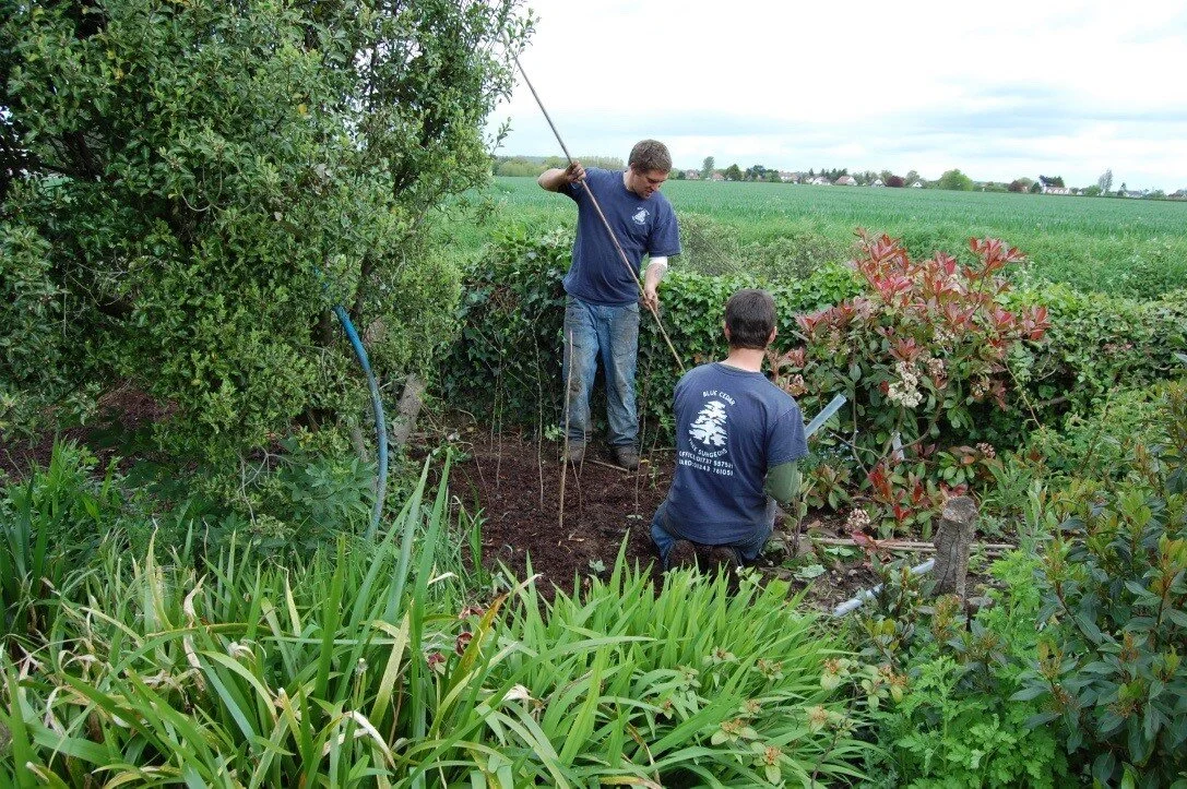 Tree Planting.jpg