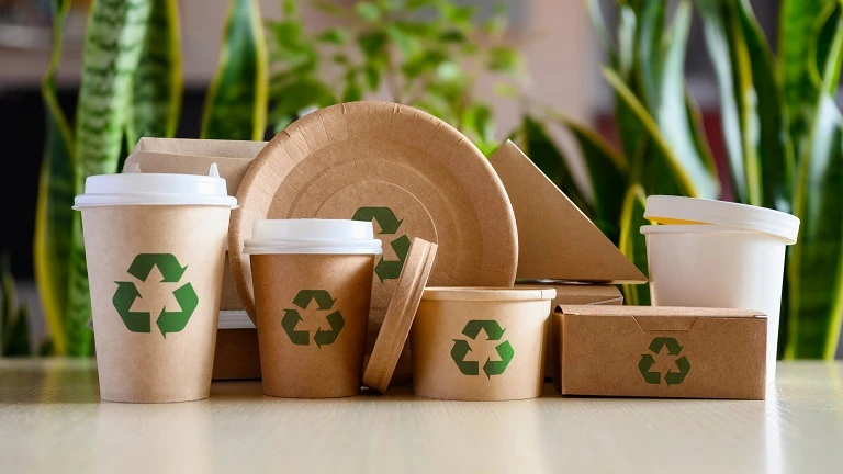 A Complete Guide to Biodegradable Packaging: Types, Benefits, and ...